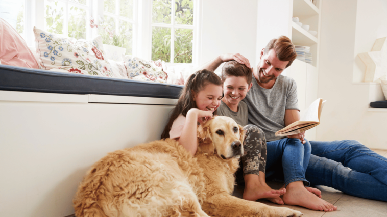 Paws and Play The Marvelous Mix of Dogs and Kiddo Chaos